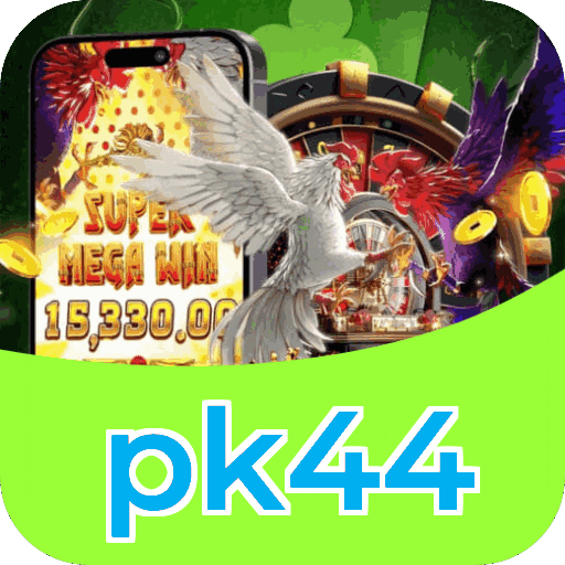 Interface pk44